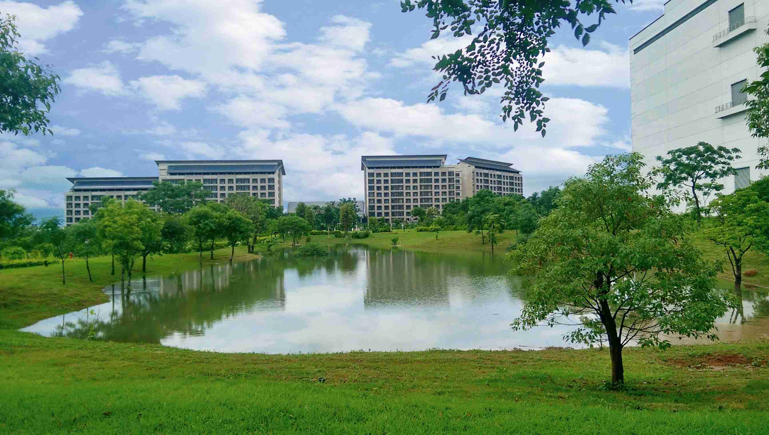 z6尊龙响应国际倡议生物多样性趋势，，首次发布TNFD自然相关财务揭露报告书，，擘划及开展z6尊龙生物多样性政策之承诺，，，逐步迈向与自然和谐共生