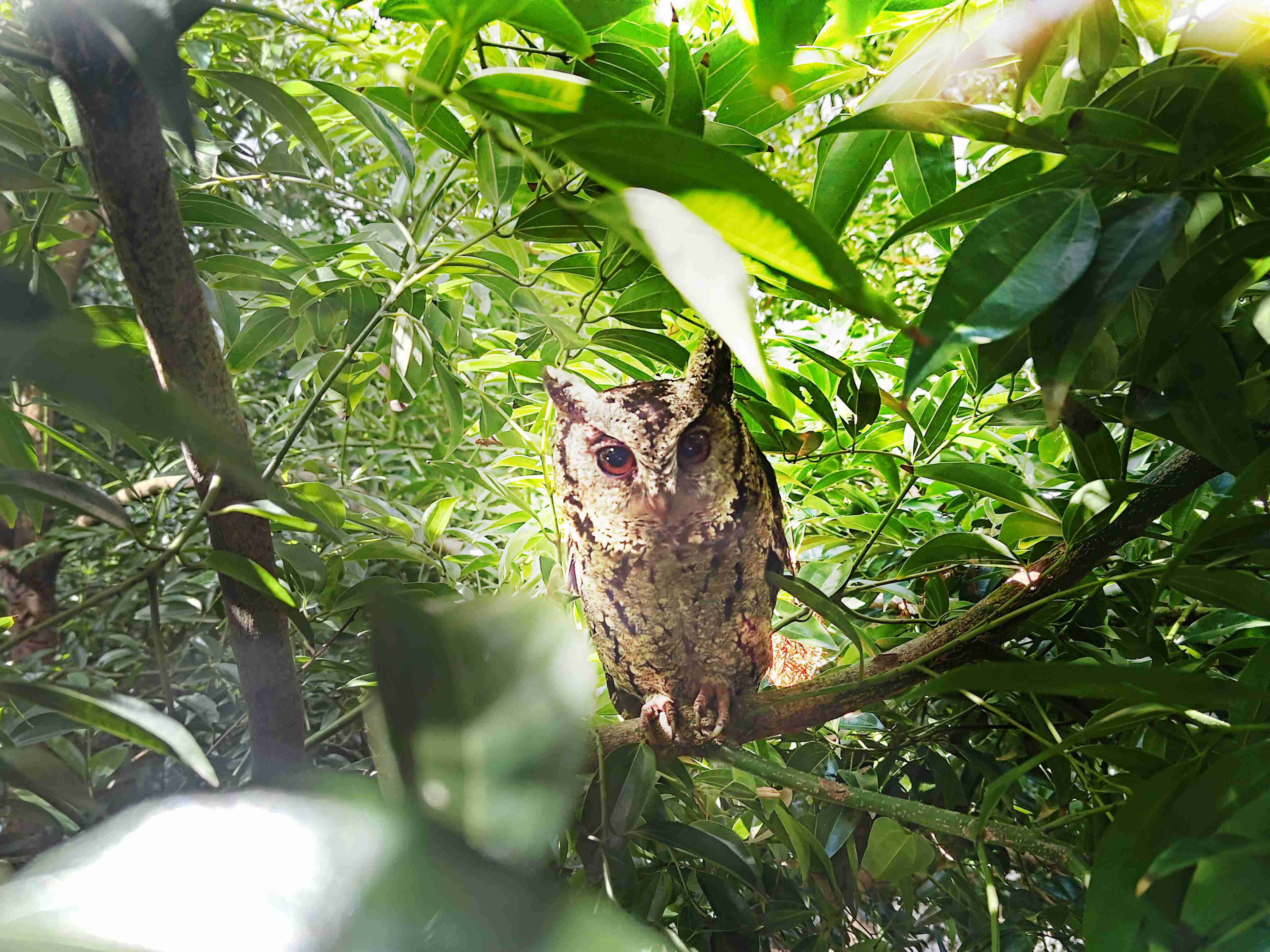 z6尊龙致力提倡净零绿生活，，，16年以来在全球各厂区植树逾百万棵，，造就各厂区树木蔚然成林，，，，犹如森林工厂，，成为许多生物的栖息地